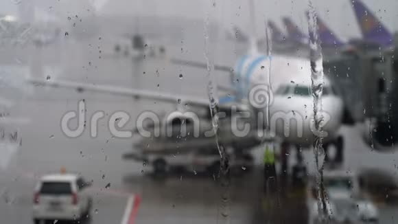 机场的热带雨视频的预览图