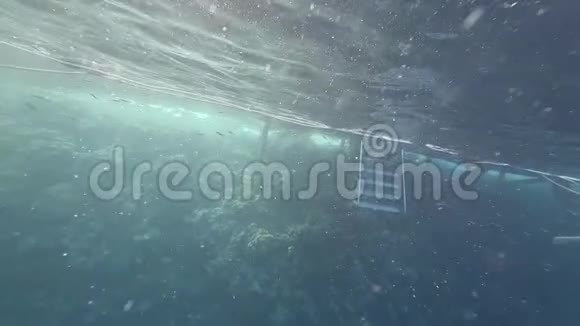 红海伙计长发运动员在水下游泳视频的预览图