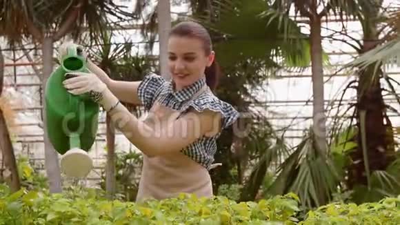 女园丁正在花园里干活用浇水罐浇绿树苗视频的预览图