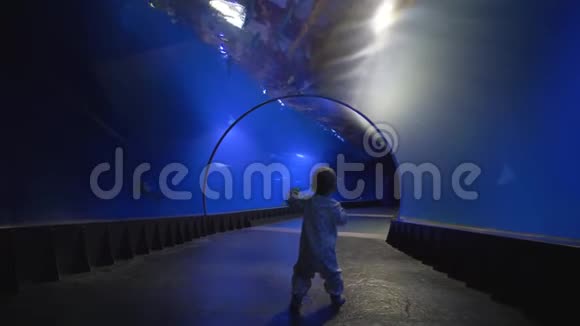 在水族馆隧道里的第一个婴儿台阶上小男孩带着好奇的心情走着看着水下的世界视频的预览图