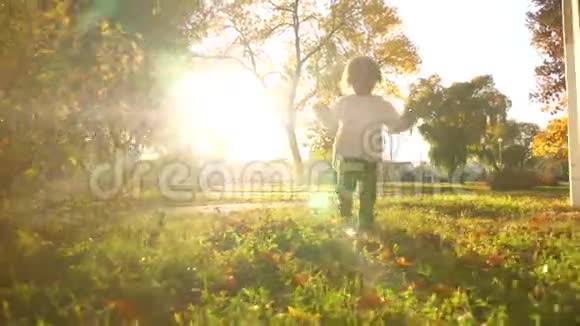 小孩子在美丽的阳光下在绿草上散步妈妈和一个快乐的婴儿在秋天公园日落时散步视频的预览图