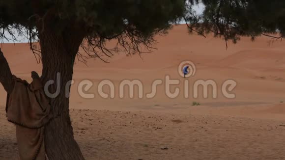沙漠中的等待者视频的预览图