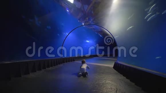 婴儿在水族馆隧道爬行在动物园观看海底世界视频的预览图