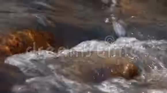 小溪流过淹没的岩石视频的预览图