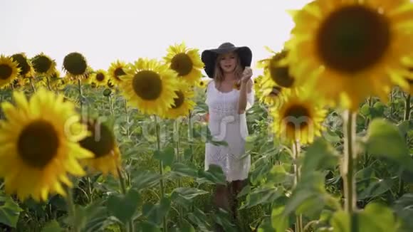 戴帽子的漂亮女孩正走在向日葵的田野上视频的预览图