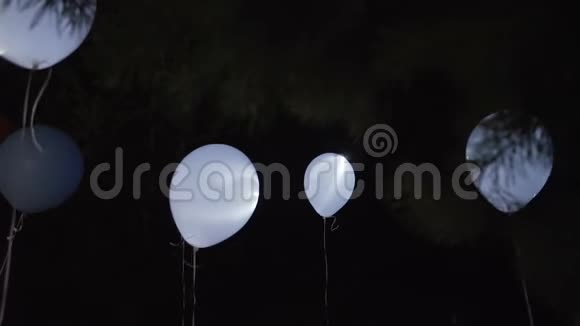 夜空中飞舞的气球视频的预览图