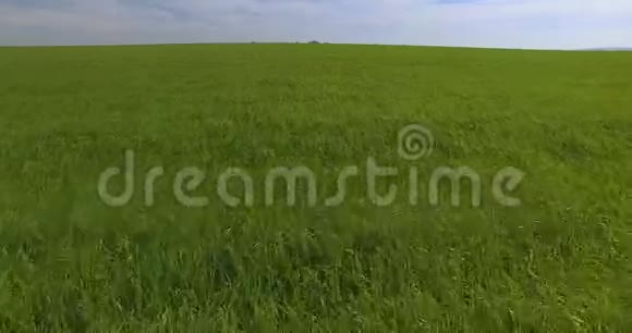 一只复印机在绿草地上飞过一大片田野视频的预览图
