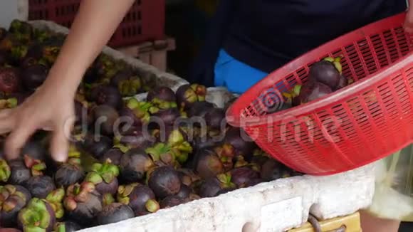 一个女人在亚洲街头市场上选择并购买Mangosteen4k视频的预览图