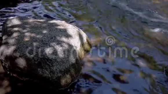 湍急的河流中的岩石潘射视频的预览图