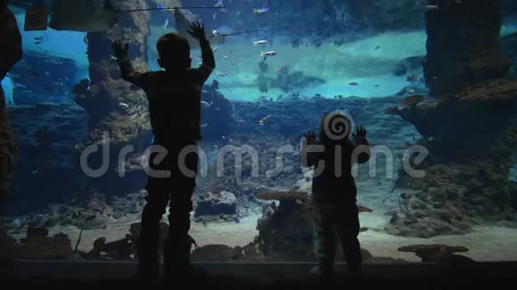 家庭度假好奇的小男孩在大型水族馆附近观看水下世界的鱼类生活视频的预览图