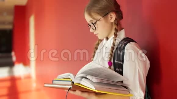 一个戴着眼镜和两条辫子的漂亮女学生的肖像一个女孩站在学校走廊里拿着课本视频的预览图