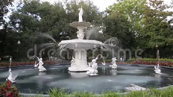 福赛斯公园喷泉视频的预览图