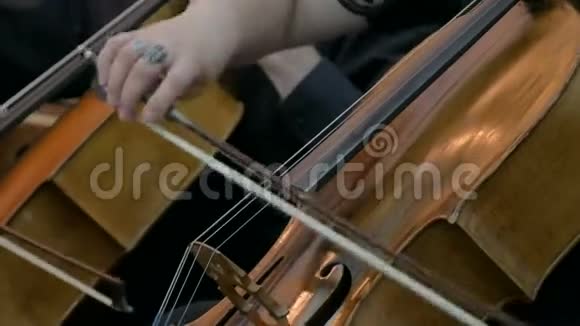 女人在玩大提琴视频的预览图