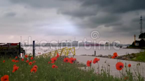 荷兰进出口集装箱船视频的预览图