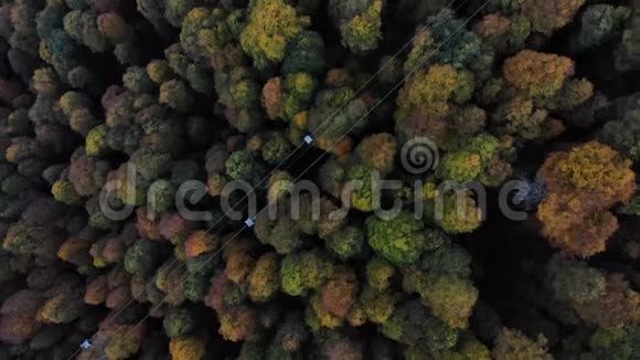 缆车鸟瞰与秋林下沿着缆车舱走视频的预览图