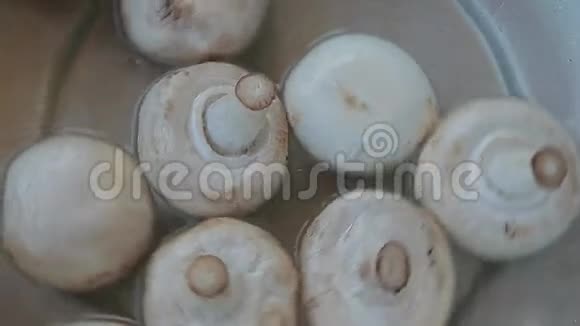 香樟子菇水金属背景视频的预览图