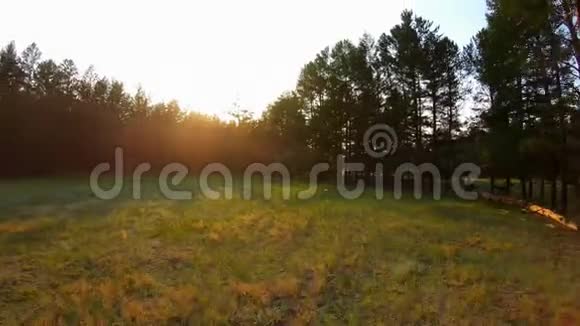 日落时分无人机低空飞过田野溪流和绿草视频的预览图