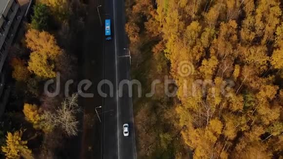 从鸟瞰秋树之间的汽车然后观看城市视频的预览图