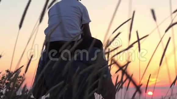 小男孩坐在他爸爸的肩膀上在小麦地日落时举起双手爸爸和孩子玩得开心视频的预览图
