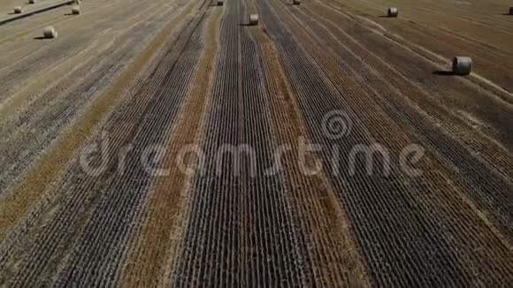 视野开阔的干草堆带着玉米飞上田野视频的预览图