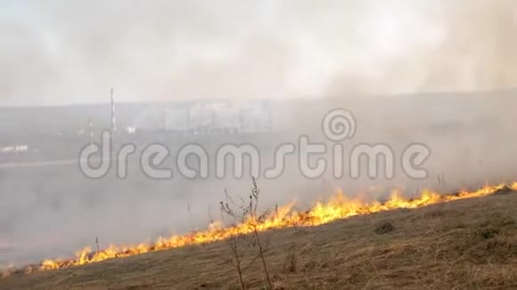 烧田背景上的植物城市火焰中的干草和燃烧森林大火时的烟雾视频的预览图