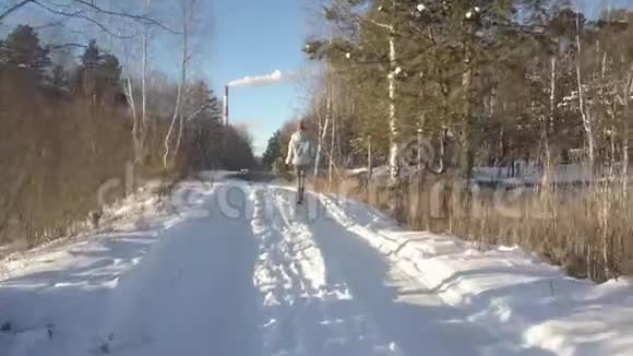 空中低角度射击女孩与松树漫步雪道视频的预览图