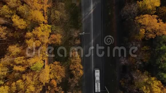 从鸟瞰秋树之间的汽车跟着巴士的镜头视频的预览图