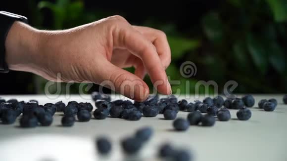 女性手拿新鲜蓝莓手捻后放回视频的预览图