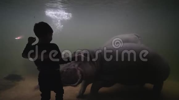 海洋公园小男孩挥动双手在水族馆漂浮视频的预览图