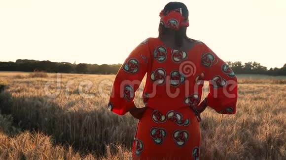 日落或日出时穿着传统服装站在庄稼地的非洲妇女的后景视频的预览图