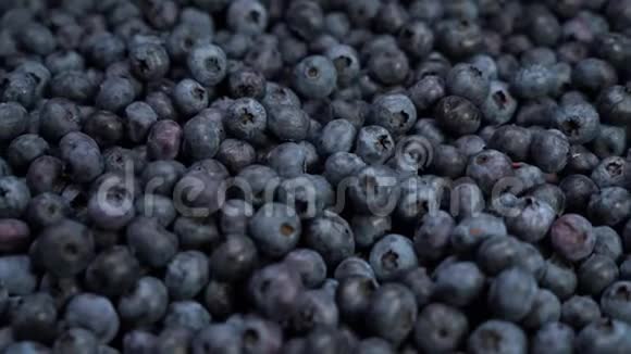 新鲜的蓝莓水果背景美味可口的巴里躺在地上视频的预览图