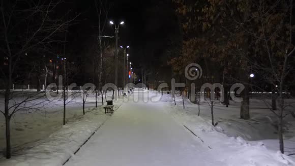 夜晚公园里有路灯的小巷被雪覆盖雪照着灯笼飞视频的预览图