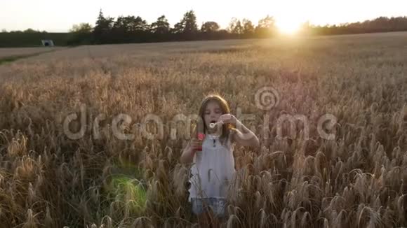 日落时分一个小女孩在麦田里吹着肥皂泡视频的预览图
