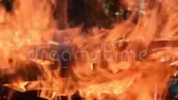 一根大木头在火中燃烧慢速视频视频的预览图