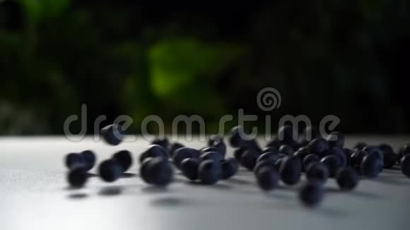 新鲜的蓝莓卷在白色的桌子上背景上有绿色的植物慢动作视频的预览图