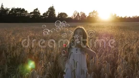 日落时分一个小女孩在麦田里吹着肥皂泡视频的预览图
