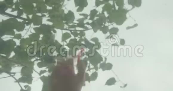 塑料吸管的特写镜头被扔到室外的河水里污染问题视频的预览图
