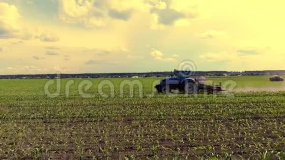 大拖拉机带着一棵小玉米穿过田野玉米作物行间加工过程日落时分视频的预览图