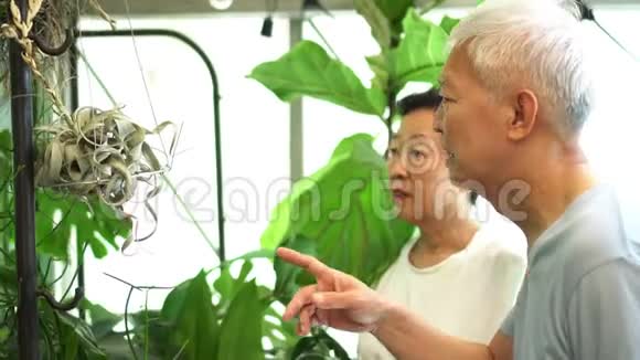 亚洲老夫妇种植绿色室内环境保护视频的预览图