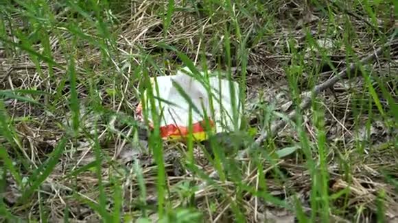 草地上产品的塑料包装视频的预览图