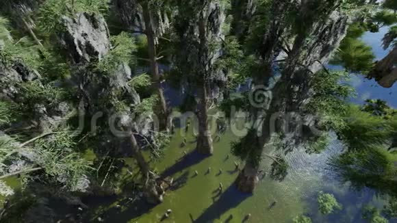 沼泽中的秃鹫视频的预览图