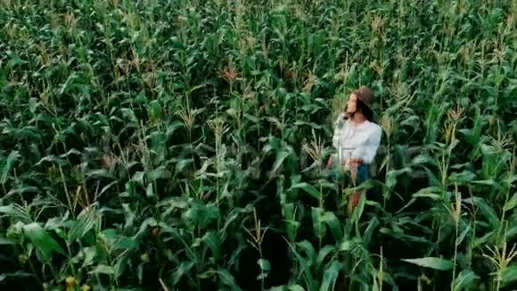 戴着帽子的年轻农民女孩在一片玉米地上在阳光下穿过高大的玉米秸秆航拍培养视频的预览图