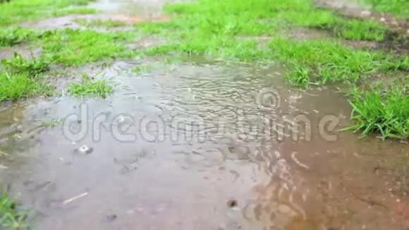 雨水滴在水坑里视频的预览图