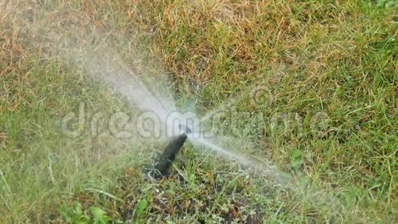 洒水车在园区浇水草坪洒水灌溉系统视频的预览图