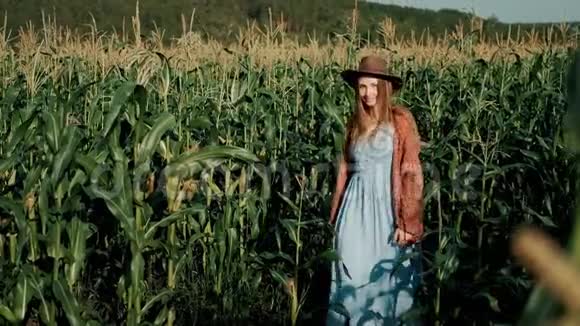 年轻的农民女孩穿着老式的连衣裙和帽子在一片玉米地上在阳光下穿过高高的玉米茎视频的预览图