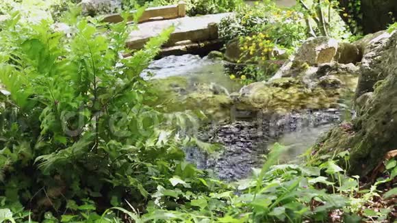 新鲜的自然水流入农村视频的预览图