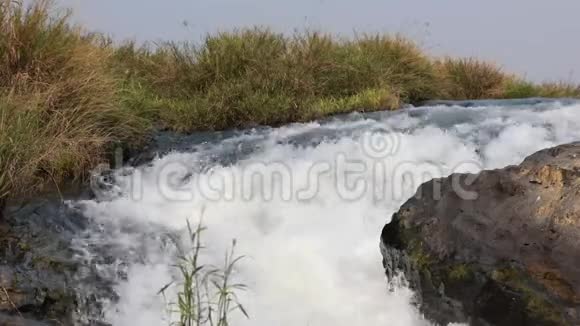有溪流和水的景观视频的预览图