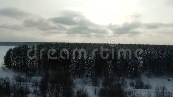 冬林雪松树史诗日落冬季鸟瞰4K视频云杉冬林上空的无人机飞行视频的预览图