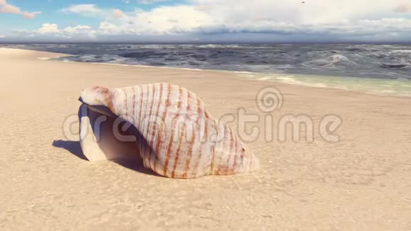 沙滩上美丽的贝壳被海浪冲刷美丽的三维循环动画视频的预览图