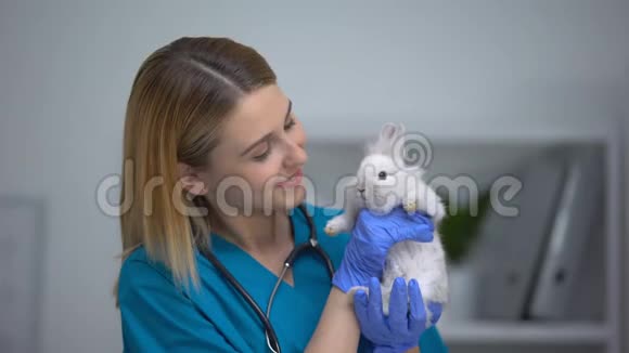 友好的女宠物医生抱着兔子兽医诊所的广告视频的预览图